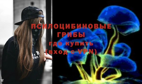 экстази Белокуриха