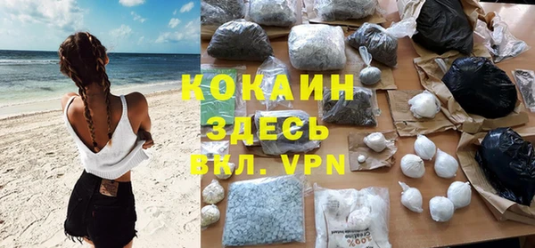 стаф Богданович
