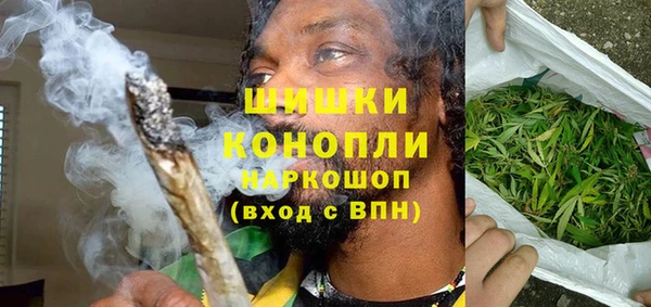 стаф Богданович