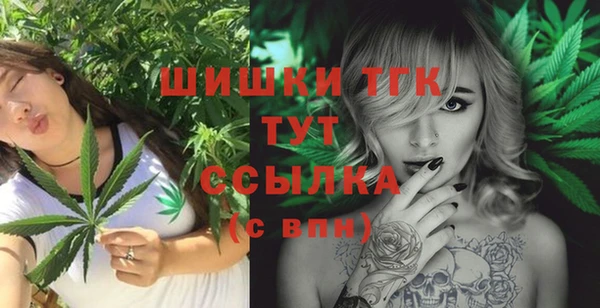 стаф Богданович