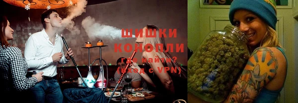 крисы Богородицк